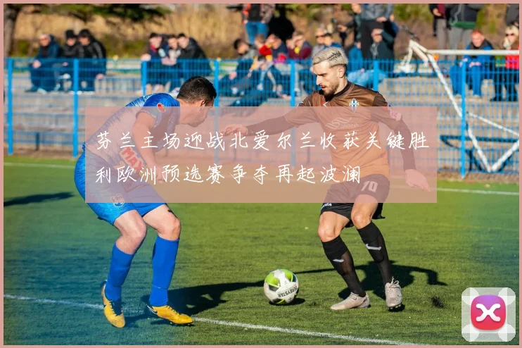 芬兰主场迎战北爱尔兰收获关键胜利欧洲预选赛争夺再起波澜