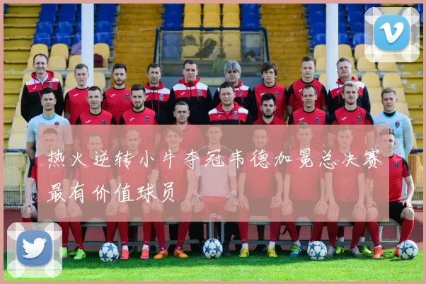 热火逆转小牛夺冠韦德加冕总决赛最有价值球员