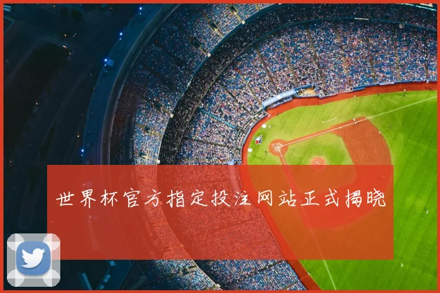 世界杯官方指定投注网站正式揭晓